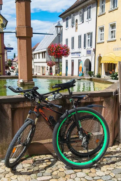 Rhine Valley cycle path