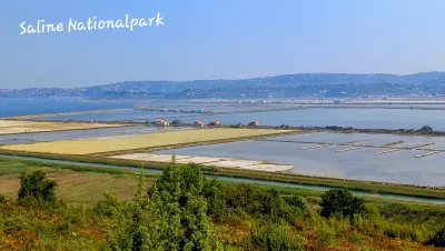 Saline National Park