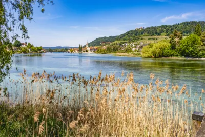 Rhine bank