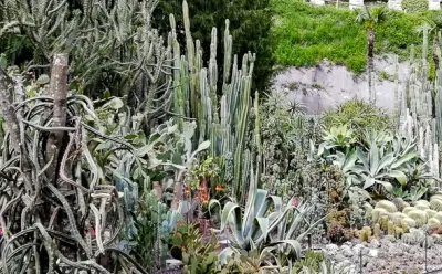 Überlingen city garden