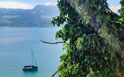 Lake Zurich