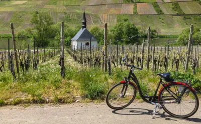 Bicycle in the vineyard