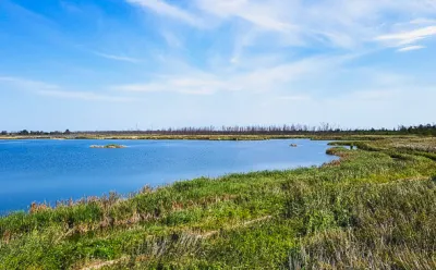 Lagoon landscape