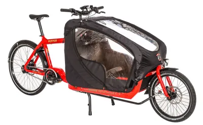 E-cargo bike with two child seats