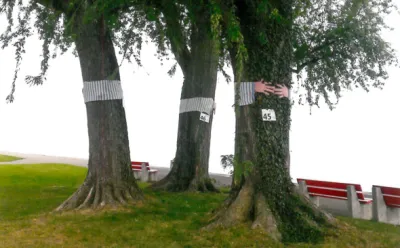 Embroidered trees
