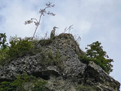 Impressions Altmühltal