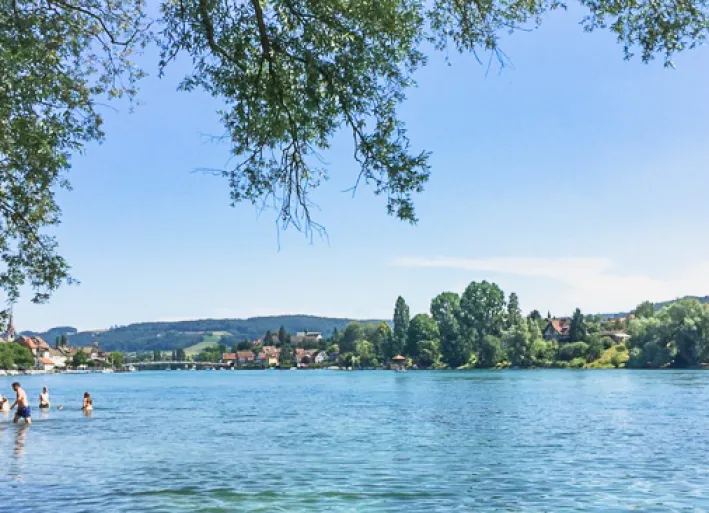 Cooling off in the Rhine