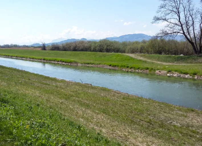 Riverbank