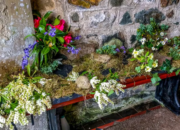 Flower arrangements