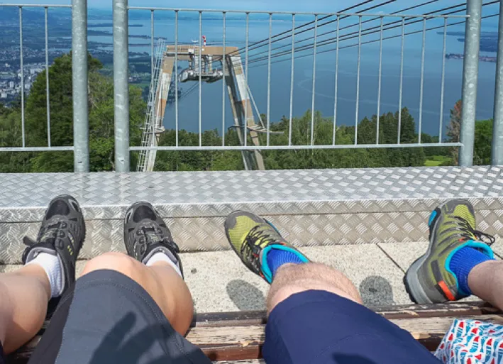 View from the Pfänder