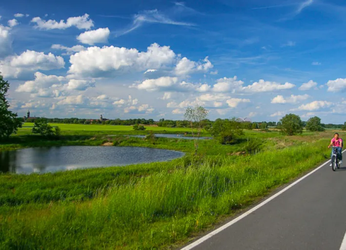 Elbe cycle path, cyclist near Coswig