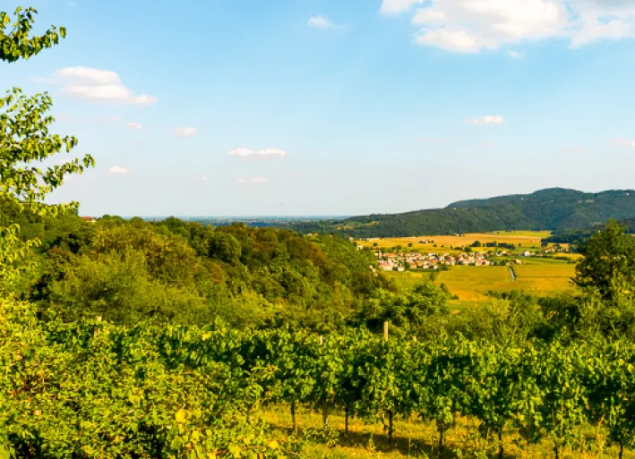 Wide fields in the surrounding area