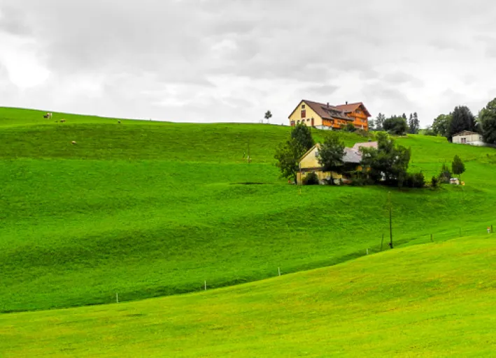In the Appenzellerland