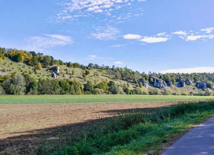 Landscape along the cycle path