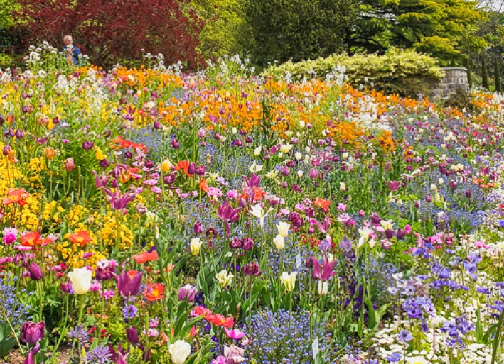 Mainau Island