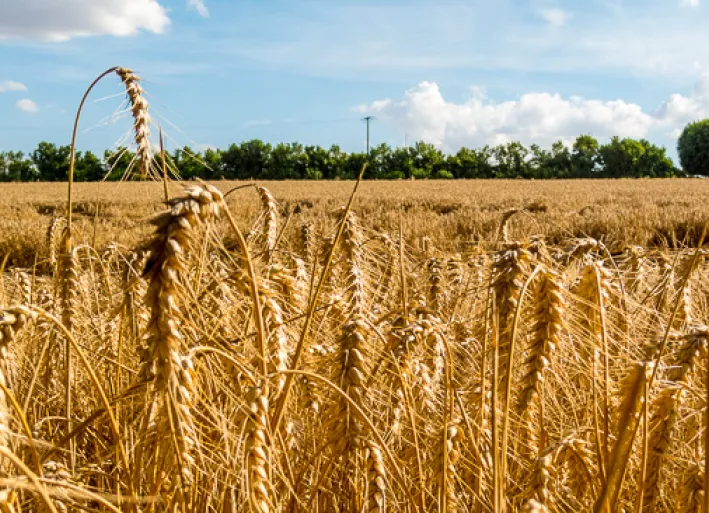 Loire Cycle Route, travel season