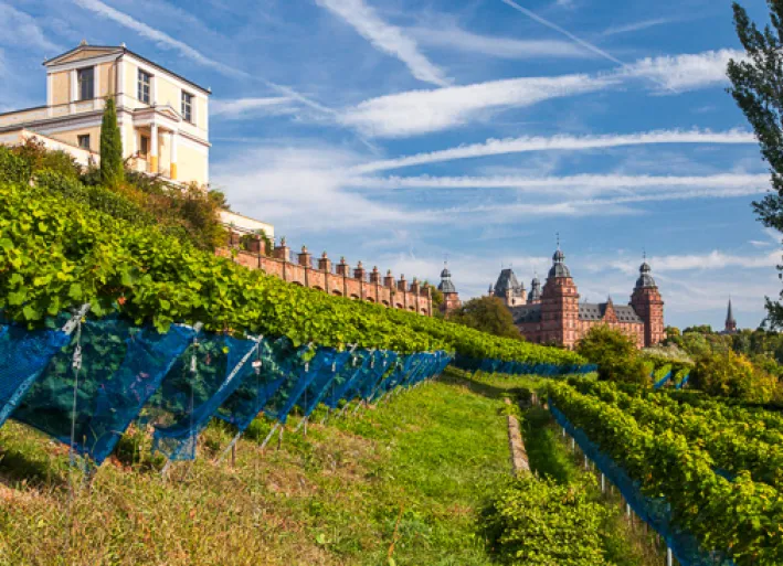 Landscape near Aschaffenburg, Main cycle path
