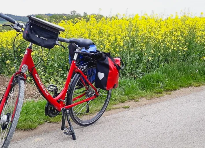 Rental bike in front of rape field