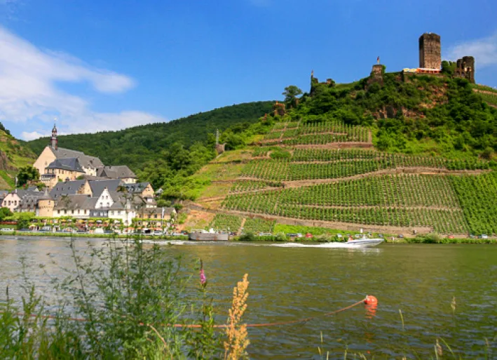 Vineyards, Moselle cycle path