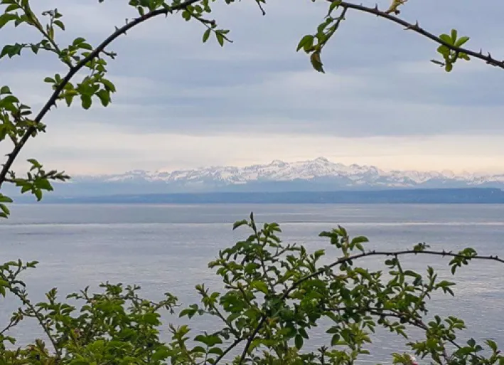 Obersee with Alpstein