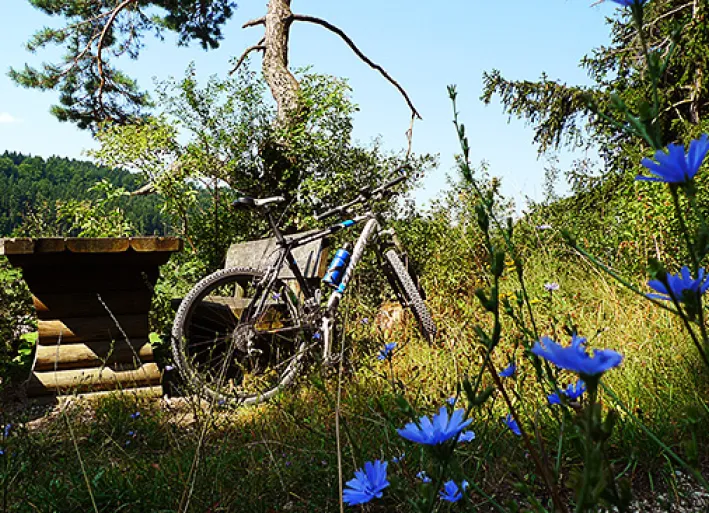 Cycle break in the Nature Park Altmühltal