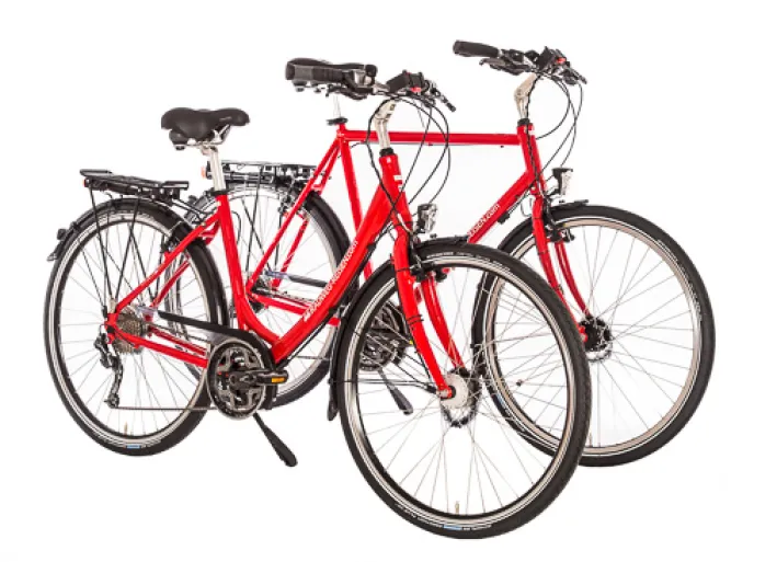 Radweg-Reisen Rental Bikes