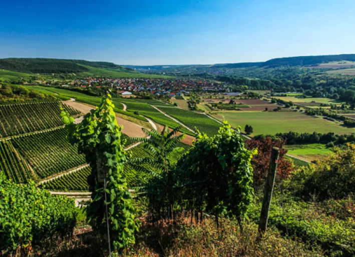 Retzbach, Main cycle path