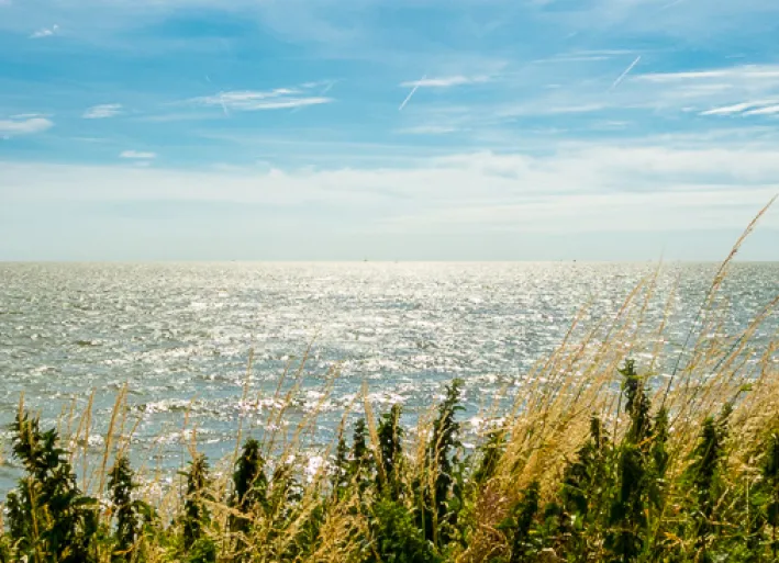 On the IJsselmeer