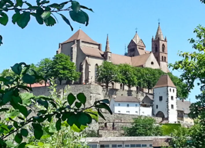 Freiburg to Colmar