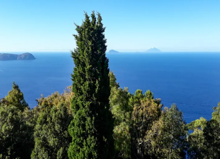 View of the sea