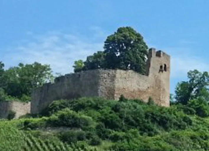 Ettenheim to Freiburg