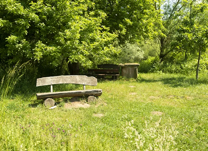 Bench by the wayside