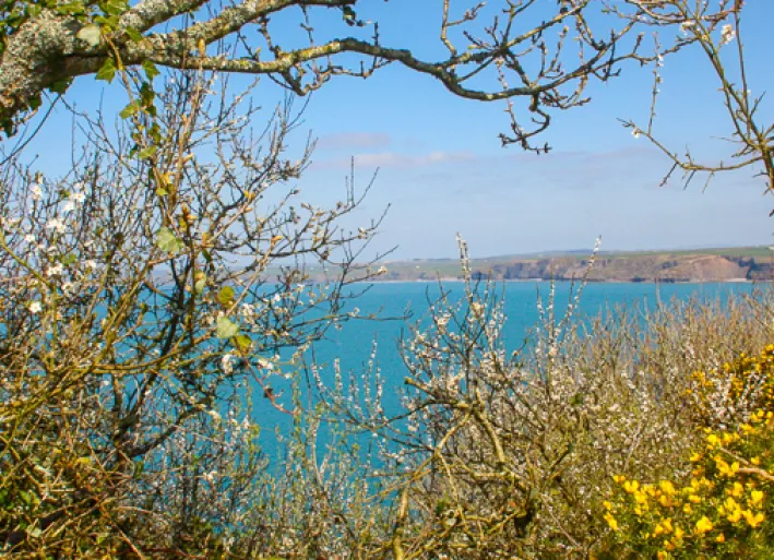 The wild and romantic landscape