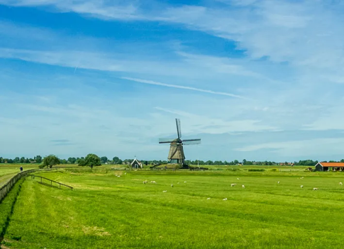 Windmill