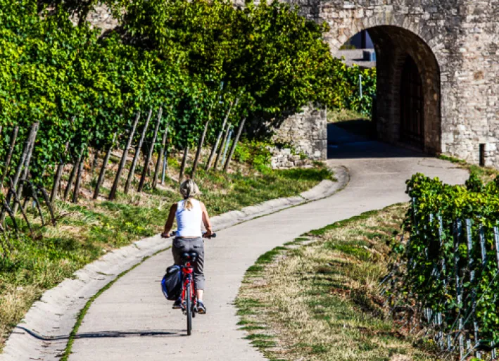 Würzburg, Main cycle path
