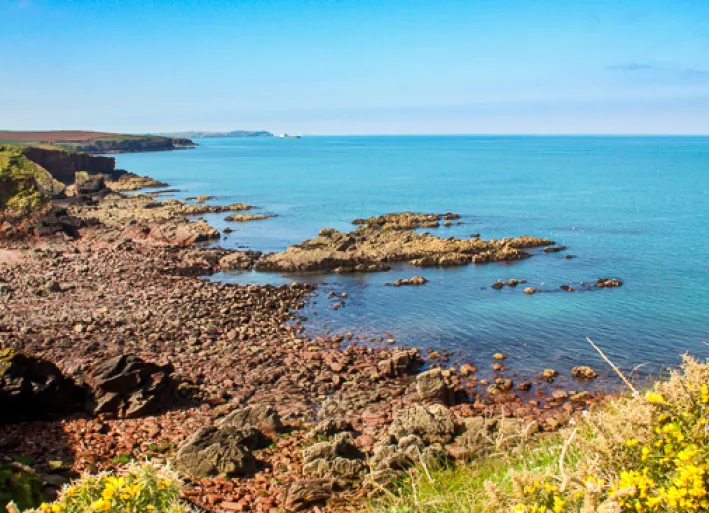 The beautiful coast