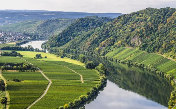 Neumagen-Dhron am Fluss Mosel