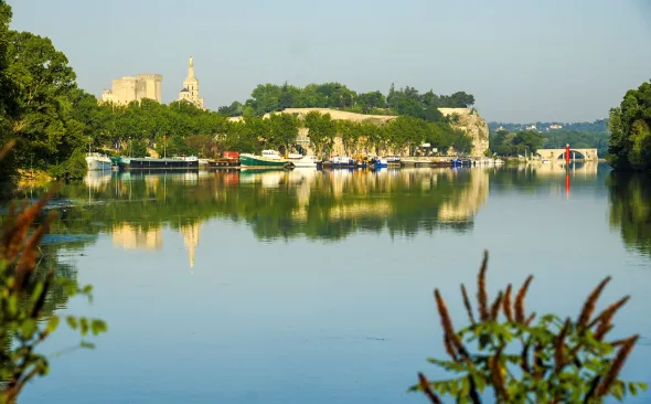 Avignon