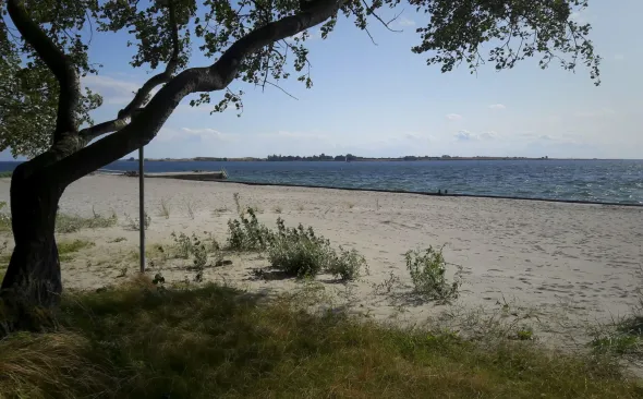 Beach Fåborg