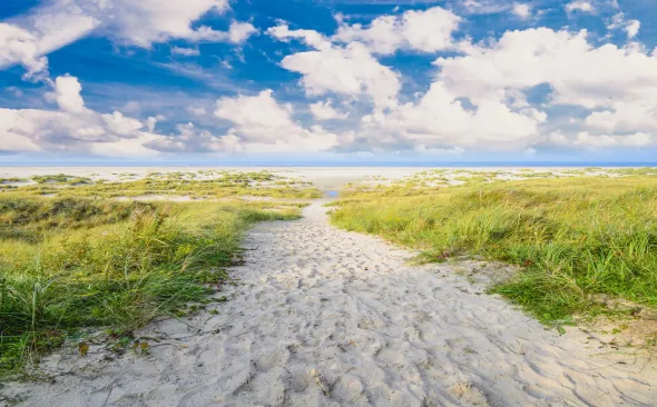 beach Langeoog