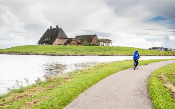 Cyclist on Hallig Hooge