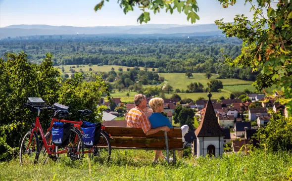 In the Rhine Plain near Istein