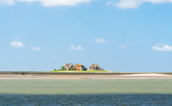 Hallig Langeness, North sea