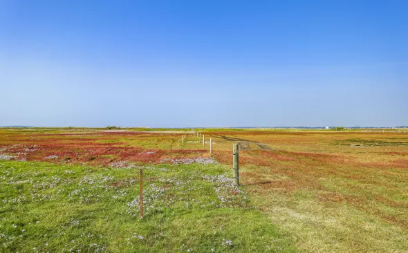 Landscape Skarø Island