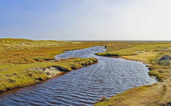 Tideway and salt marsh on Norderney