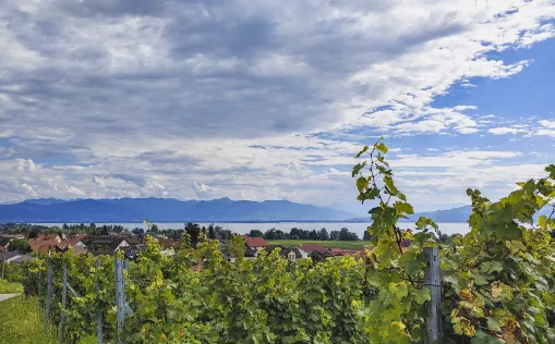 BO-KK8_Reisebericht_2022