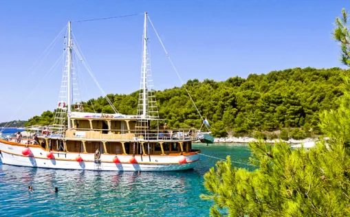 MS Dalmatino