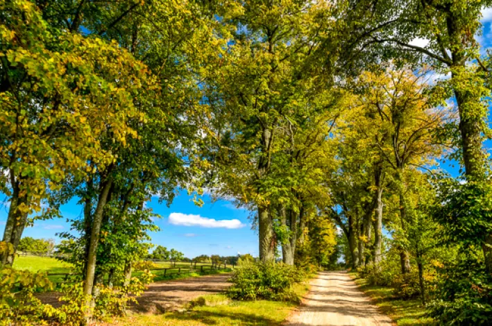 Radreisen in Tschechien, Polen und Litauen