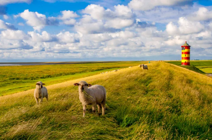 Nordsee-Radweg Leuchtturm Pilsum