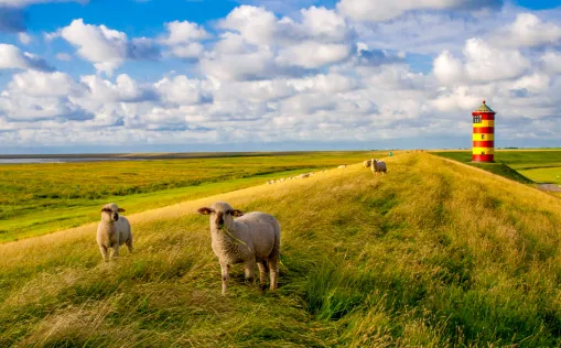 Nordsee-Radweg Leuchtturm Pilsum